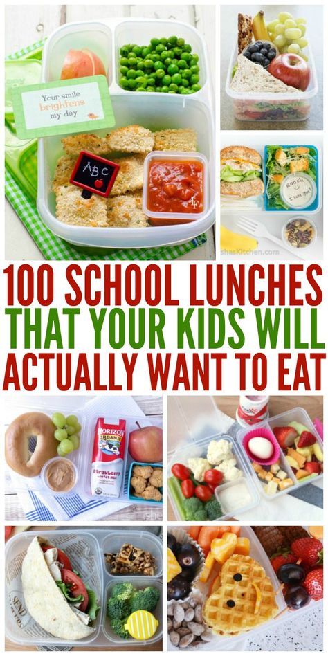 Rachel Miller, School Lunch Ideas, Toddler Lunches, Healthy School, School Lunches, School Snacks, Lunch Snacks, Easy Lunches, Kids Snacks