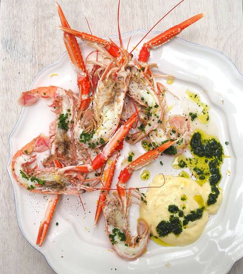 Summer langoustines with mayonnaise and tarragon oil Langoustine Recipe, Prawn Dishes, Scottish Food, Shrimp Dinner, Bbq Ideas, Sea Food, Low Carb Keto Recipes, The Mediterranean, Low Carb Keto