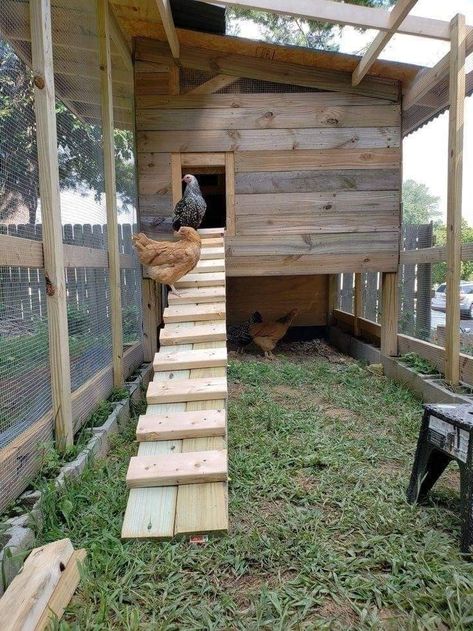 Easy Chicken Coop With Run, Pallet Chicken Coop Ideas Diy, Chicken Coop From Recycled Materials, Chicken Coop Sloped Yard, Amazon Chicken Coop, Simple Large Chicken Coop, Slanted Roof Chicken Coop, Chicken Coop Ramp Ideas, 6 Chicken Coop Plans