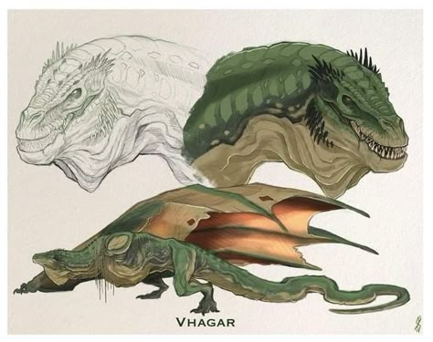 Dragon Animation, Hotd Dragons, Game Of Thrones Dragons, Big Dragon, Got Dragons, Targaryen Art, Asoiaf Art, Dragon Maid, Dragon Sketch