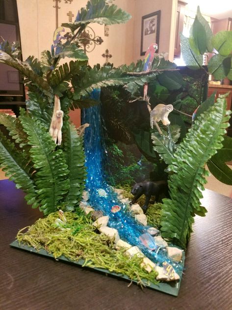 Black Panther Diorama Project (Rainforest Habitat) Rainforest Shoebox Habitat, Rainforest Box Project, Jungle Diaroma, Rainforest Habitat Shoebox Project, Rain Forest Diorama For Kids, Rain Forest Biome Project, Elephant Diorama Project, Rain Forest Habitat Project For Kids, Forest Diaroma Ideas