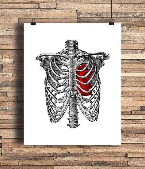 Tattoo Ideas Ribs Cage, Dorm Room Indie, Rib Cage With Flowers, Tattoo Ideas Ribs, Anatomical Heart Illustration, Bones Human, Room Indie, Anatomical Heart Art, Hipster Tattoo