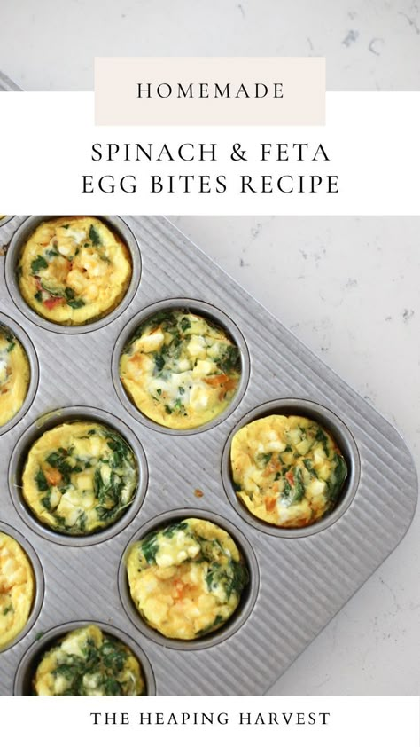 Spinach and Feta Egg Bites for an Easy and Healthy Breakfast Easy Breakfast Bites Healthy, Freezer Breakfast Egg Bites, Egg Bites Breakfast Recipes, Breakfast Egg Bites Healthy, Egg Bites Spinach Feta, Spinach Egg Recipes Healthy, Break Fast Healthy Easy Recipes, Spinach And Feta Egg Cups, Tomato Feta Egg Bites