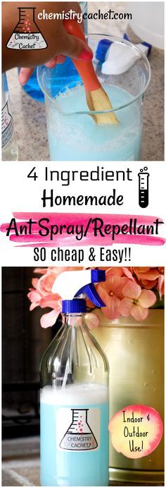 This easy homemade ant spray is so cheap & easy. Only 4 ingredients needed and safe for indoor, outdoor use. Kid and pet friendly. Ant Repellent Diy Indoor, Ant Repellant, Homemade Ant Killer, Repellent Diy, Ant Spray, Ant Repellent, Ant Killer, Insect Spray, Bug Killer