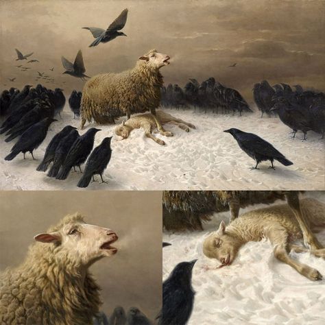 In 'Anguish' (1878) by August Friedrich Albrecht Schenck, a mother sheep mourns over her dead lamb. She stands protectively over her lamb, defying the threatening crows that encircle it. Blood seeps from the lamb's mouth into the snow, and the mother sheep's breath forms ghostly puffs in the cold air. Despite her bravery, the scene exudes a sense of hopelessness.  🐑  A notable aspect of the painting is the mother sheep's distinctly human-like expressions of determination and sorrow. These emotions vividly express her helplessness. The ominous crows, deemed 'ill-fated,' gather around, waiting for a vulnerable moment to attack the lamb. Through this animal metaphor, the artist also depicts a universal human experience. 🎨  #painting #oilpainting #famousartists #arthistory #art August Friedrich, Lamb Drawing, Crow Painting, Ap Drawing, Mother Painting, Sheep Paintings, Academia Aesthetics, Coffee Wallpaper, Famous Artists