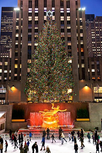 Christmas Tree Photos, Rockefeller Christmas Tree, New York Christmas Tree, Rockefeller Center Christmas Tree, Rockefeller Center Christmas, New York City Christmas, Tree Photos, Nyc Christmas, Empire State Of Mind