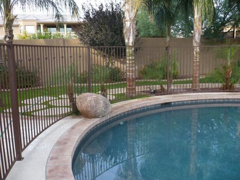 Home Swimming Pool Ideas, Fencing Around Pool, Pool Arizona, Wrought Iron Pool Fence, Privacy Screen Plants, Rod Iron Fences, Home Swimming Pool, Fence Around Pool, Wrought Iron Fencing