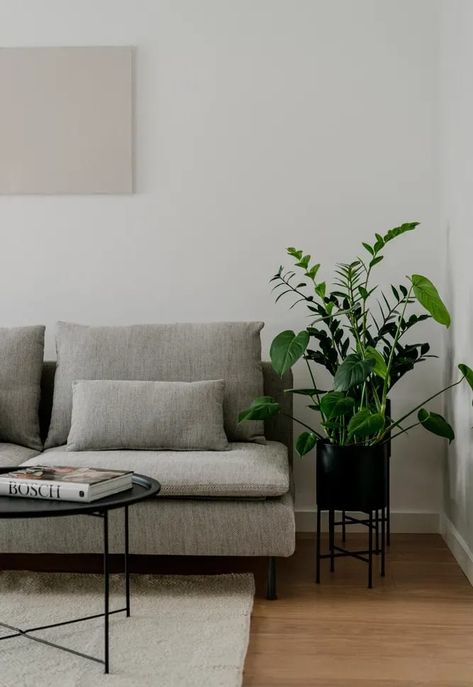 Söderhamn Sofa, Ikea Living Room, Minimalist Living, Small Space Living, Small Living Rooms, Minimalist Living Room, Small Living Room, Ideas Home, Home Tour