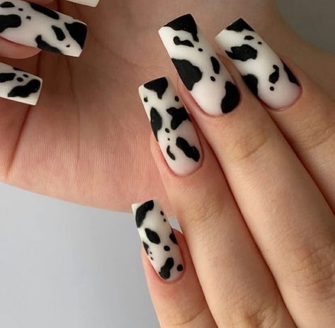 Cows Nails, Vaca Nails, Rodeo Nails, Cowboy Nails, Black And White Nail, Black And White Nail Art, Western Nails, Cow Nails, Cute Simple Nails