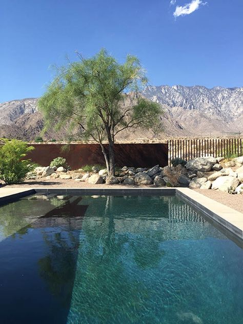 This pool is surrounded by desert landscaping and has views of the mountain range in the distance. #SwimmingPool #pool #backyard #landscaping #desert Mid Century Ranch House, Modern Pool And Spa, Mid Century Modern Ranch, Desert Backyard, Modern Ranch House, Mid Century Ranch, Furniture Casters, Pool Backyard, Modern Desert