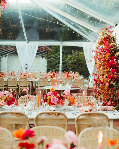 A Wild Frolic through a Flower Dreamland | Just received the most gorgeous gallery from on @courtneypaigephoto of Taylor and Cales’ vibrant love and flower filled California wedding… | Instagram Orange Pink Wedding, Sunset Wedding Theme, Orange Wedding Themes, Orange And Pink Wedding, Petal Toss, Night Time Wedding, Red Wedding Theme, Orange Wedding Flowers, Pink Wedding Theme