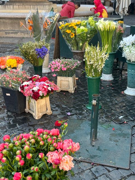 Spring in #Rome #romeitaly #spring #flowers Rome In Spring, Italy Abroad, Rome Italy, Spring Flowers, Rome, Milan, In Italy, Italy, Collage