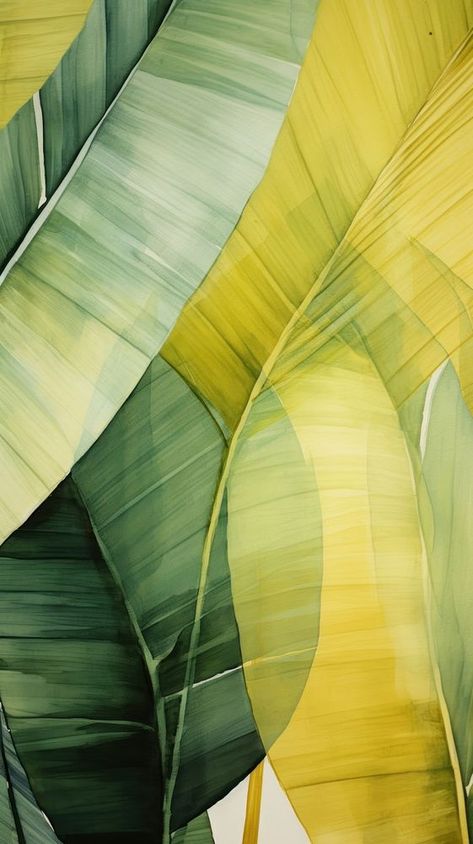 Palm leaves green abstract nature. | free image by rawpixel.com / Tang Wallpaper Tenis, Tropical Backgrounds, Iphone Wallpaper Tropical, Camoflauge Wallpaper, Palm Leaves Wallpaper, Tropical Prints Pattern, Background Frames, Wallpapers Abstract, Palm Leaf Art