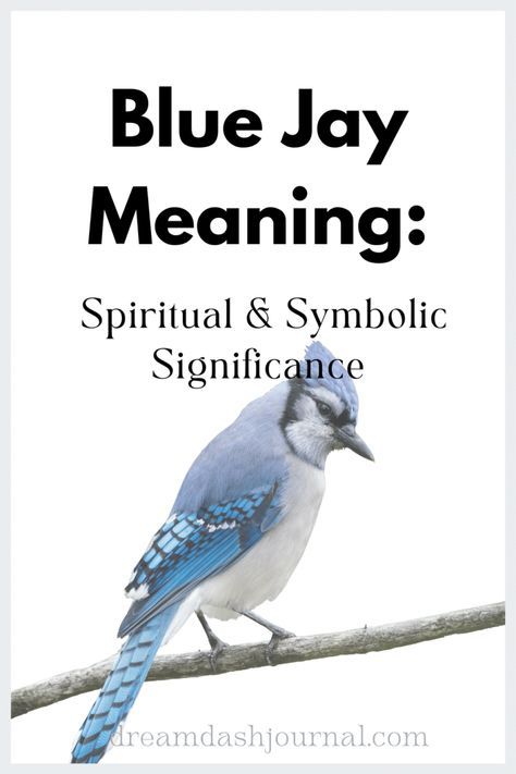 Blue Jay Meaning Seeing A Blue Jay Meaning, Bluejay Meaning, Spiritual Meaning Of Blue Jays, Blue Jay Meaning Spiritual, Bluejay Spiritual Meaning, Blue Jay Spiritual Meaning, Deja Vu Meaning, Blue Jay Meaning, Lightworker Spirituality