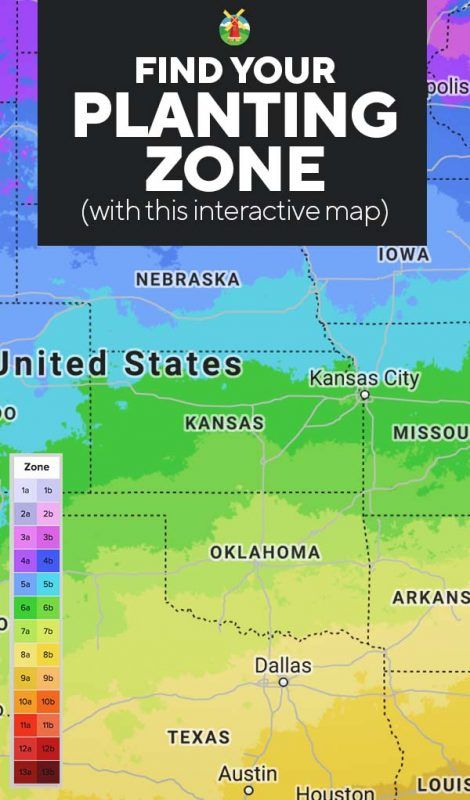 Planting Zones Map | Find Your Gardening Zones by ZIP Code Growing Zones Map, Gardening Zone Map, Planting Zones Map, Colorado Gardening, Planting Zones, Plant Zones, Gardening Zones, Texas Gardening, Fall Garden Vegetables