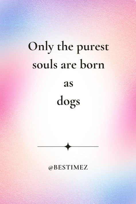 Only the purest souls are born as dogs Soul Dog, Dog Mama, The Pure, You Are My Sunshine, Dog Quotes, Dog Training, Pure Products, Dogs, Quotes