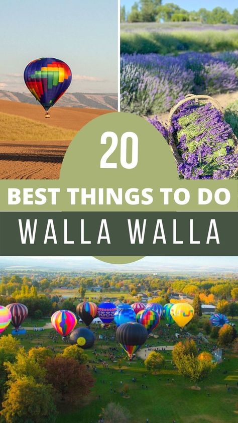 Even though Walla Walla is most notable for being Washington state’s wine region, there are many more things to do in Walla Walla than just wine tasting. Yes, Walla Walla has the highest concentration of wineries in all of Washington state and people from all over the nation flock to this area for a weekend of vineyard and wine bar hopping. Walla Walla Wineries, Washington Things To Do, Travel Blog Post Ideas, Washington Trip, Walla Walla Washington, Washington Vacation, Washington State Travel, Oregon Vacation, Washington Hikes