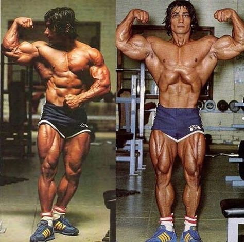 Danny Padilla "The Giant Killer" Golden Era Bodybuilding Tee's. Golden Era Bodybuilding, Danny Padilla, Gym Icon, Old Bodybuilder, Frank Zane, Aesthetics Bodybuilding, Bodybuilding Pictures, Bodybuilding Clothing, Fitness Photos