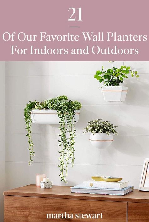 Hang wall planters filled with your favorite plants inside or outside with these decorative ideas. From geometric shapes to breathable materials, your plants will love their new home. #planters #wallplanters #gardening #gardenideas #garden #indoorgardening #marthastewart Hanging Wall Plants Indoor, Indoor Wall Planter Ideas, Wall Mount Plant Holder, Wall Mounted Planters Indoor, Plants Ideas Indoor, Indoor Wall Planter, Wall Hanging Plants, Wall Mounted Plant Holder, Wall Plants Indoor