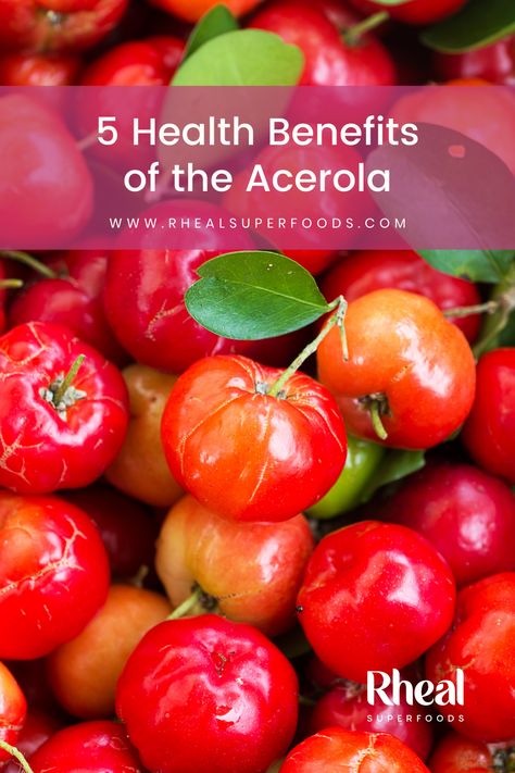 The Acerola Cherry is a fruit renowned for its uniquely high Vitamin C content, which helps to boost immune function and support healthy hair, skin and nails. Also packed with phytonutrients and brimming with other antioxidants, there are plenty of reasons to make Acerola part of your daily routine. Acerola Cherry Benefits, Health Benefits Of Cherries, Benefits Of Berries, Acerola Cherry, Fruit Benefits, Hair Skin And Nails, Juice Plus, Homeopathic Remedies, Workout Pictures