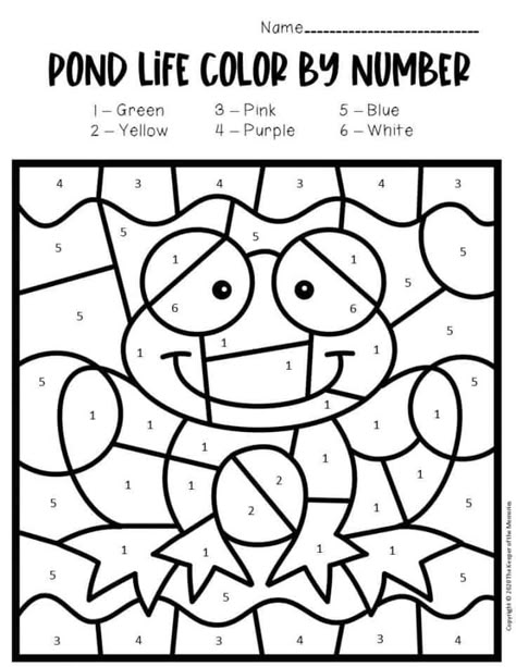 Frog Tracing Worksheet, Frog Color By Number, Ponds Preschool Activities, Pond Life Worksheets Preschool, Prek Frog Activities, Frog Math Activities For Preschool, Pond Worksheets Preschool, Frogs Activities Preschool, Frog Lesson Plans Preschool