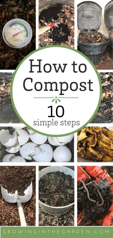 How to Compost: 10 Simple Steps | Growing In The Garden Plantarea Legumelor, How To Compost, Diy Compost, Small Courtyard, Courtyard Gardens, French Country Garden, Garden Compost, Garden Wallpaper, Diy Gardening