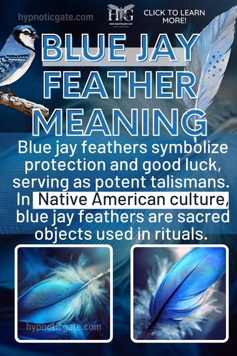 Blue Jay Feather meaning Blue Jay Quotes, Spiritual Meaning Of Blue Jays, Blue Jay Spiritual Meaning, Blue Jay Feather Meaning, Flying Blue Jay, Black Feather Meaning, Feather Magic, Blue Jay Feather, Meaning Of Blue