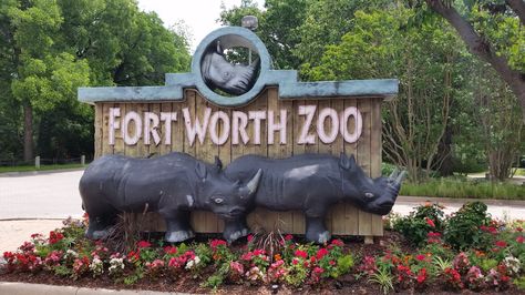 Tips for making the most of your visit to the Fort Worth Zoo, including the new Safari Splash! Zoo Entrance, Zoo Tickets, Zoo Map, Fort Worth Zoo, Fort Worth Stockyards, The Fort, Fort Worth Texas, Family Entertainment, Dallas Fort Worth