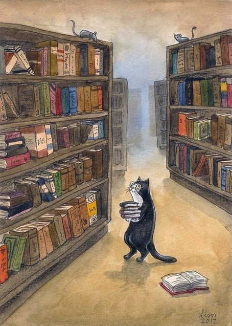 Library Illustration, Tea Wallpaper, Ramadan Images, Cute Cat Drawing, Cat Reading, Old Cats, Cat Books, Cat Sleeping, Cat Wallpaper