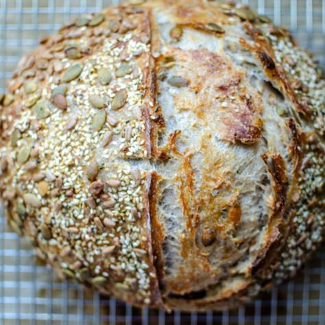 Seeded Multigrain Sourdough Bread Recipe - Sourdough Seeded Bread, Multi Seed Sourdough Bread, Sourdough Peasant Bread, Sourdough Seed Bread Recipe, Sourdough Multigrain Bread, Seeded Sourdough Bread Recipe, Multi Grain Sourdough Bread Recipe, Sourdough Seed Bread, Seeded Sourdough Bread