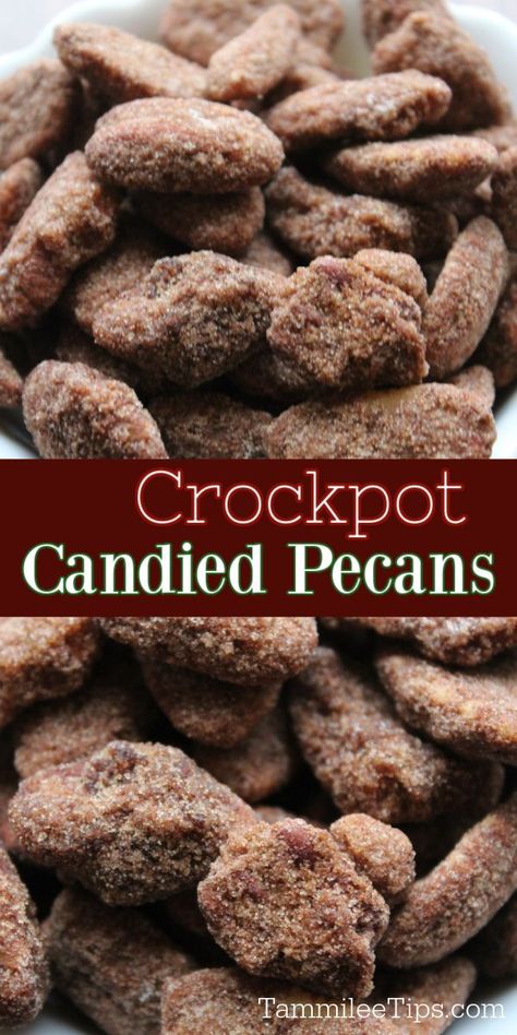 Cinnamon Sugar Pecans Crockpot, Cinnamon Pecans Crockpot, Candied Pecans In Crockpot, Candied Nuts Recipe Easy Crockpot, Candied Nuts Crockpot, Crock Pot Candied Pecans, Cinnamon Sugar Almonds Crockpot, Crockpot Candied Nuts Recipe, Slow Cooker Candied Pecans