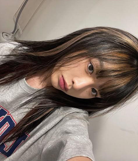 ulzzang girl korean Instagram aesthetic selca selfie Ash Brown Peekaboo, Asian Dye Hair, Korean Face Claims Girl, Light Brown Asian Hair, Korean Hairstyle Color, Skunk Dyed Hair, Korean Face Claims, Korean Hair Color Ideas, Skunk Hair Dye