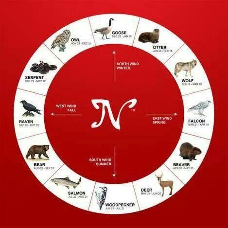 Norse astrology...? Birth Animal, Native American Zodiac, Native American Animals, Navajo Culture, Native American Wisdom, Animal Spirit, Spirit Animals, Native American Heritage, Animal Totems