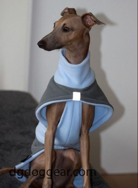 Puppy Clothes Patterns, Diy Dog Fleece Jacket, Greyhound Coat Pattern, Whippet Clothes Pattern, Italian Greyhound Clothes, Dog Trends, Dog Coat Pattern, Fleece Dog Coat, Dog Winter Clothes