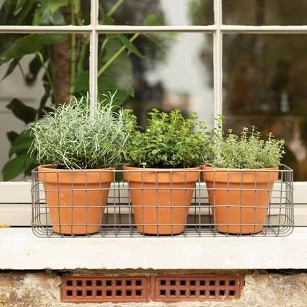 Buy Pots & containers - Pot material: Metal - Delivery by Crocus Victorian Terrace Garden, Window Box Planters, Window Baskets, Plant Troughs, Garden Pub, Green Boutique, Box Planters, Bunny Hutch, Garden Seating Area