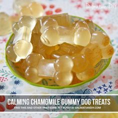 1 Cup Pumpkin Puree, Calming Treats For Dogs, Homemade Pet Treats, Pet Treats Recipes, Cbd Dog Treats, Dog Treats Homemade Easy, Easy Dog Treat Recipes, Dog Biscuit Recipes, Easy Dog Treats