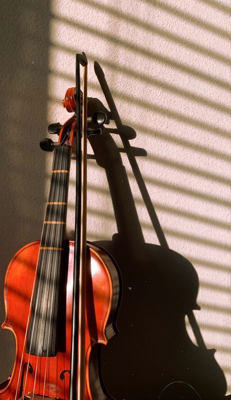 Cello Aesthetic, Cello Photo, Violin Pics, Cello Art, Violin Photography, Viola Instrument, Violin Art, Cellos, Violin Music