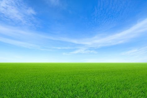 Green sloping meadows with blue sky and ... | Premium Photo #Freepik #photo #green-field #green-land #field #field-background Sky And Land Background, Sky Background For Editing, Land Background, Bmw Motorbikes, Field Background, Clouds Background, Blue Sky Wallpaper, Green Land, Xiaomi Wallpapers