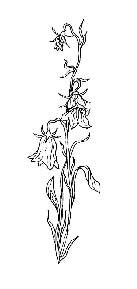 Tattoo Ideas Female Line Work, Snap Dragon Tattoo Simple, Trumpet Flower Tattoo, Lower Forearm Tattoo Woman, Medieval Flower Tattoo, Trumpet With Flowers Tattoo, Ophelia Flowers Tattoo, Flower Flash Tattoo, Ophelia Tattoo Flowers