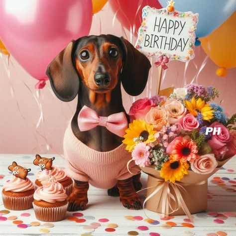 Happy Birthday Funny Dog, Dog Birthday Wishes, Happy Birthday Dachshund, Birthday Wishes For Her, Dachshund Birthday, Happy Birthday Cat, Happy Birthday Wishes Cards, Birthday Wishes Funny, Happy Birthday Funny