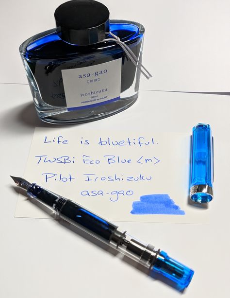 TWSBi ECO <M> and Pilot Iroshizuku asa-gao Twsbi Eco, Copper Pen, Fountain Pen Ink Bottles, Pretty Handwriting, Notebook Cover Design, Der Gentleman, Stationary Supplies, Commonplace Book, Pen Collection