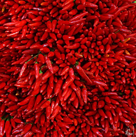 »✿❤Red❤✿« Chili Pepper Pepper Aesthetic, Red Stuff, Red Photography, Color Aesthetic, I See Red, Red Chili Peppers, Simply Red, Chilli Pepper, Red Walls