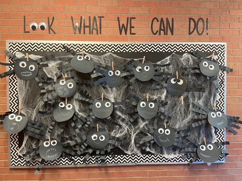 Spider Halloween Bulletin Board, Halloween Prek Bulletin Board, Spider Bulletin Board, 3k Activities, Bulletin Board Halloween, Insects Kindergarten, Halloween Bulletin Boards, Bullentin Boards, Preschool Bulletin