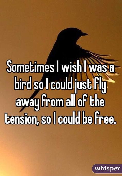 "Sometimes I wish I was a bird so I could just fly away from all of the tension, so I could be free. " Tension Quotes, Fly Quotes, Desktop Wallpaper Design, I Wish I Was, Learn To Fly, Skydiving, Dear Lord, Wallpaper Design, Living Life