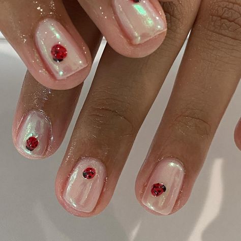 Little ladybugs 🥹 Located @lunaluxenailloft . . . . #nailart #3dnails #nailinspo #naildesigns #tampa #florida #tampanailtech #chromenails Ladybug French Tip Nails, Lady Bird Nails, Simple Nail Art For Short Nails Easy, Nail Inspired Short, Easy Short Nail Art, Fairy Nails Short, Short Artsy Nails, Short Simple Nail Designs, Funky Nail Art Ideas