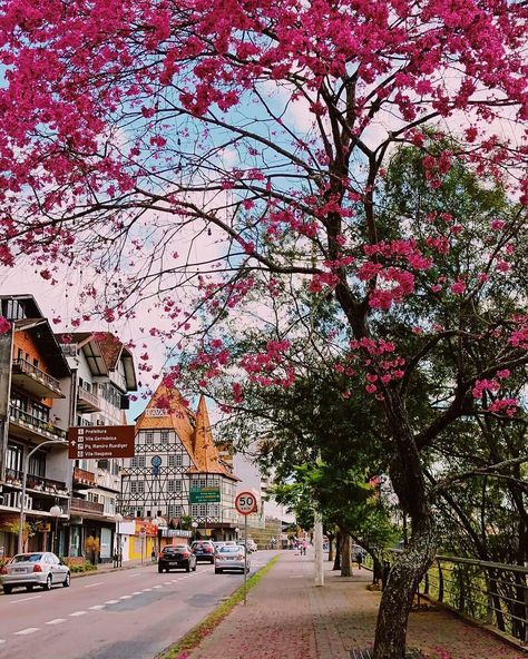 Santa Catarina Aesthetic, Beto Carrero World, Brazil Travel, South America Travel, Latin America, America Travel, Wonderful Places, South America, Cityscape