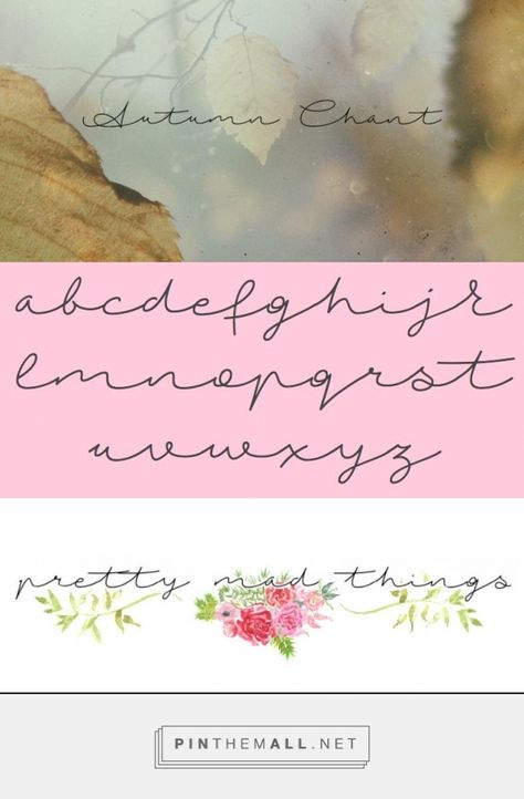 Autumn chant by Runes & Fonts Feminine Fonts, Font Pairings, Journal Fonts, Font Typography, Font Combinations, Calligraphy Handwriting, Calligraphy Alphabet, Font Pairing, Beautiful Fonts