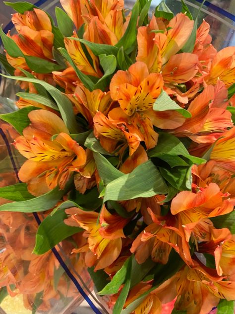 Orange Bouquet Aesthetic, Orange Tiger Lily Bouquet, Orange Lily Wedding Bouquet, Lillies Drawings, Tiger Lily Wedding Bouquet, Tiger Lily Aesthetic, Orange Lily Bouquet, White Lily Flower Bouquet, Flower Vintage Aesthetic