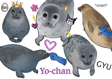 Seals Drawing, Seal Decorations, Seal Oc, Cute Seals Drawing, Cute Seal Art, Funny Seal, Cute Seal Drawing, Seal Doodle, Harp Seal Drawing