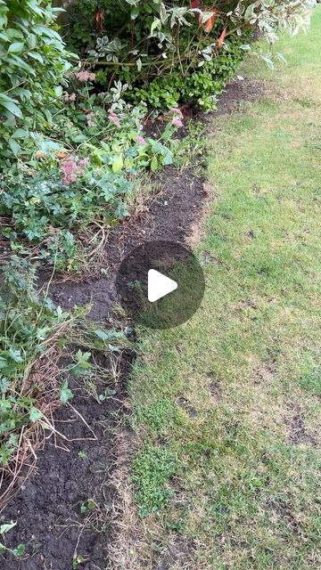 Edging Lawn, Lawn Edging, Diy Gardening, Lawn Care, Diy Garden, Garden Design, Lawn, Alexander, On Instagram